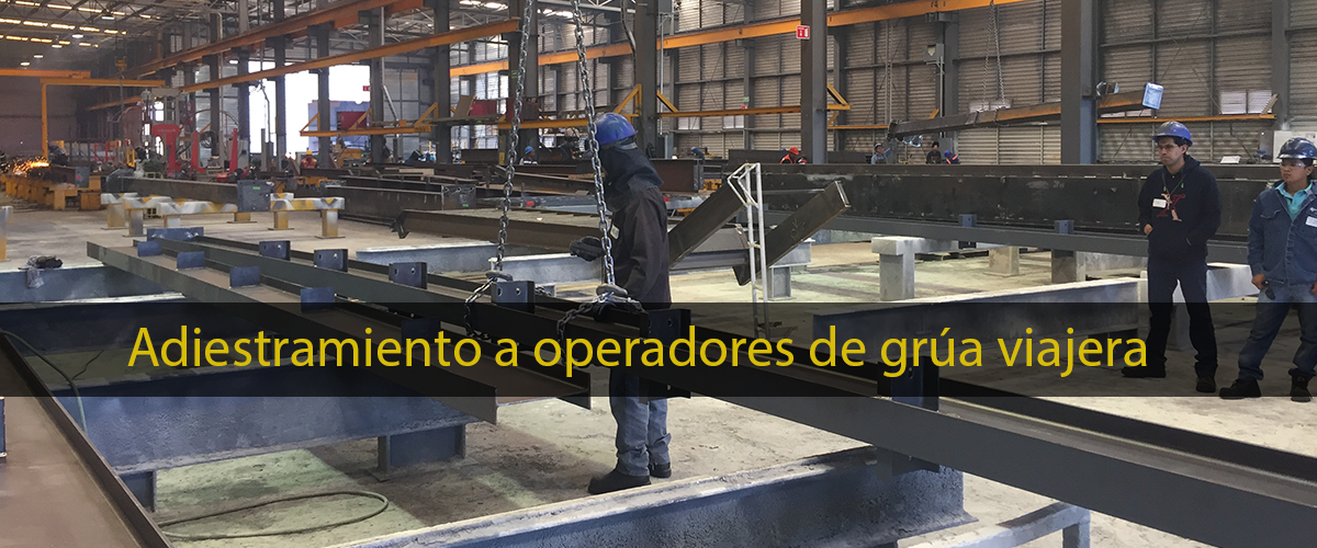 gruaviajera